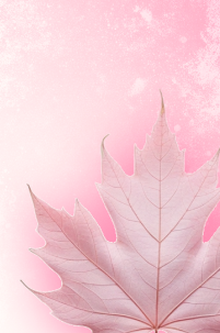 Осенние новинки