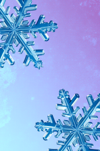 Готовимся к зиме